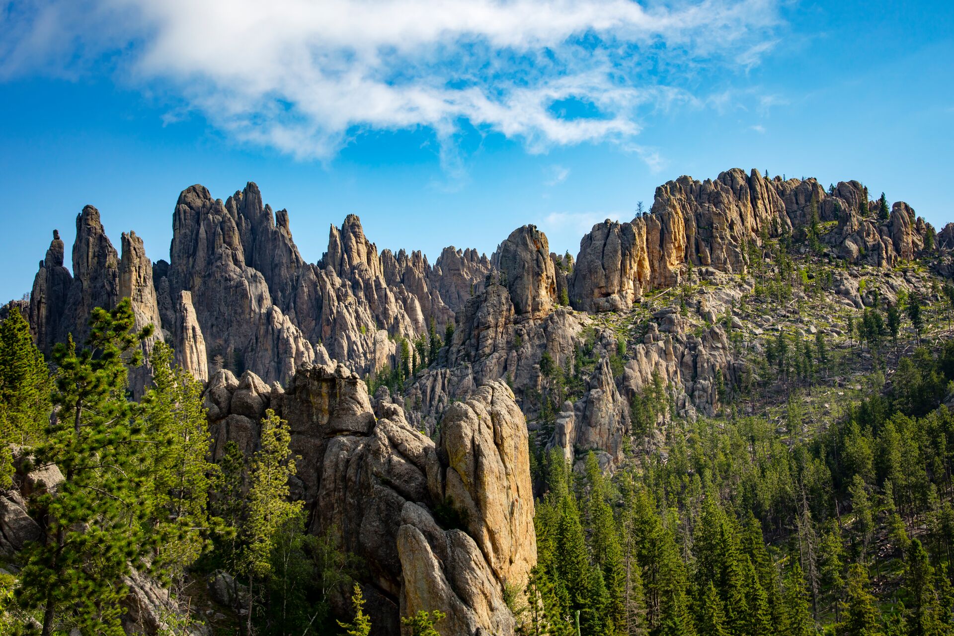 Image of ‘needles’ rocks in Black Hills of South Dakota, set amongst green forrest and a bright blue sky.