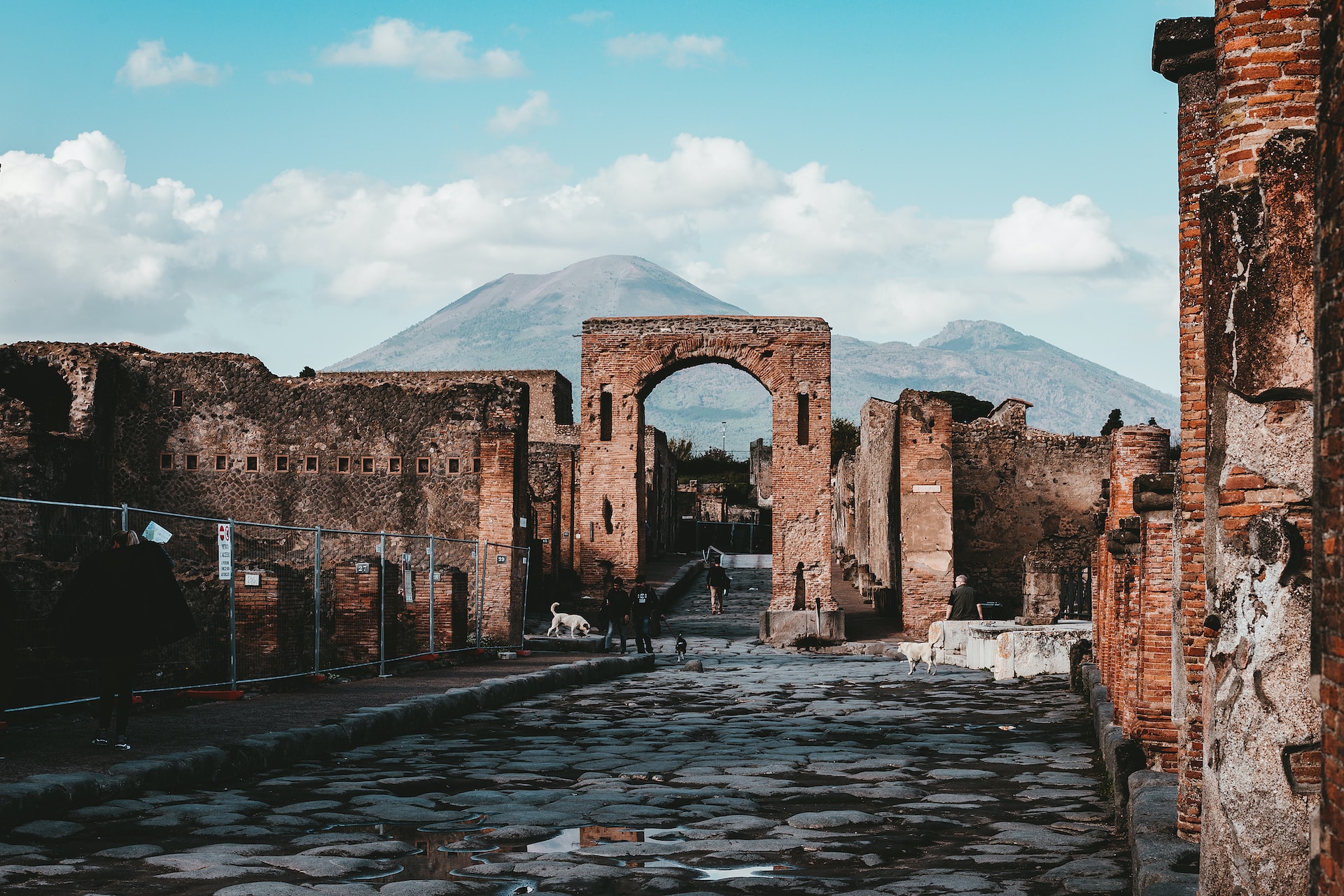 Image of Pompeii, with Mount Vesuvius in the background