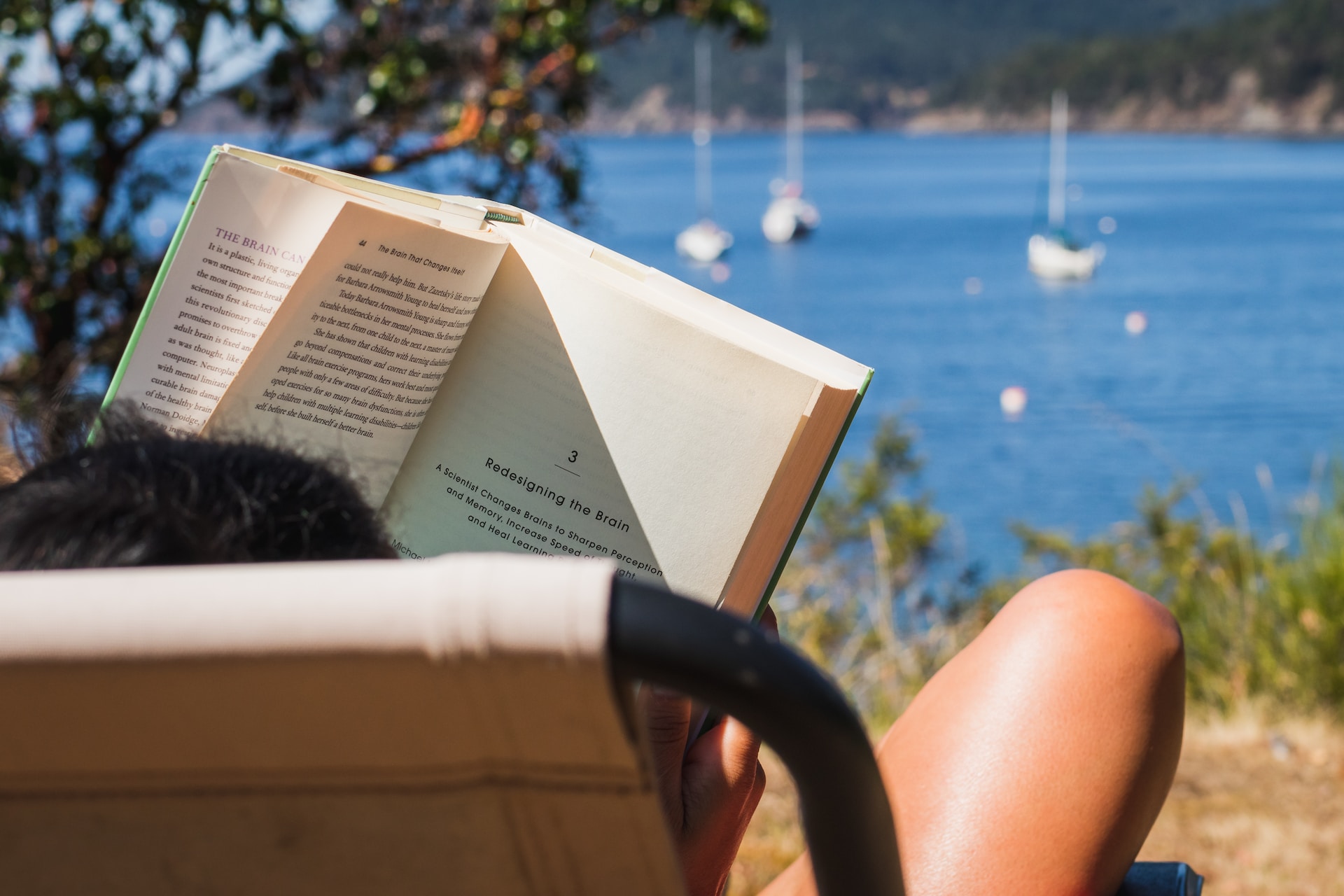 The Insight Book Club: everything we’ve been reading in June
