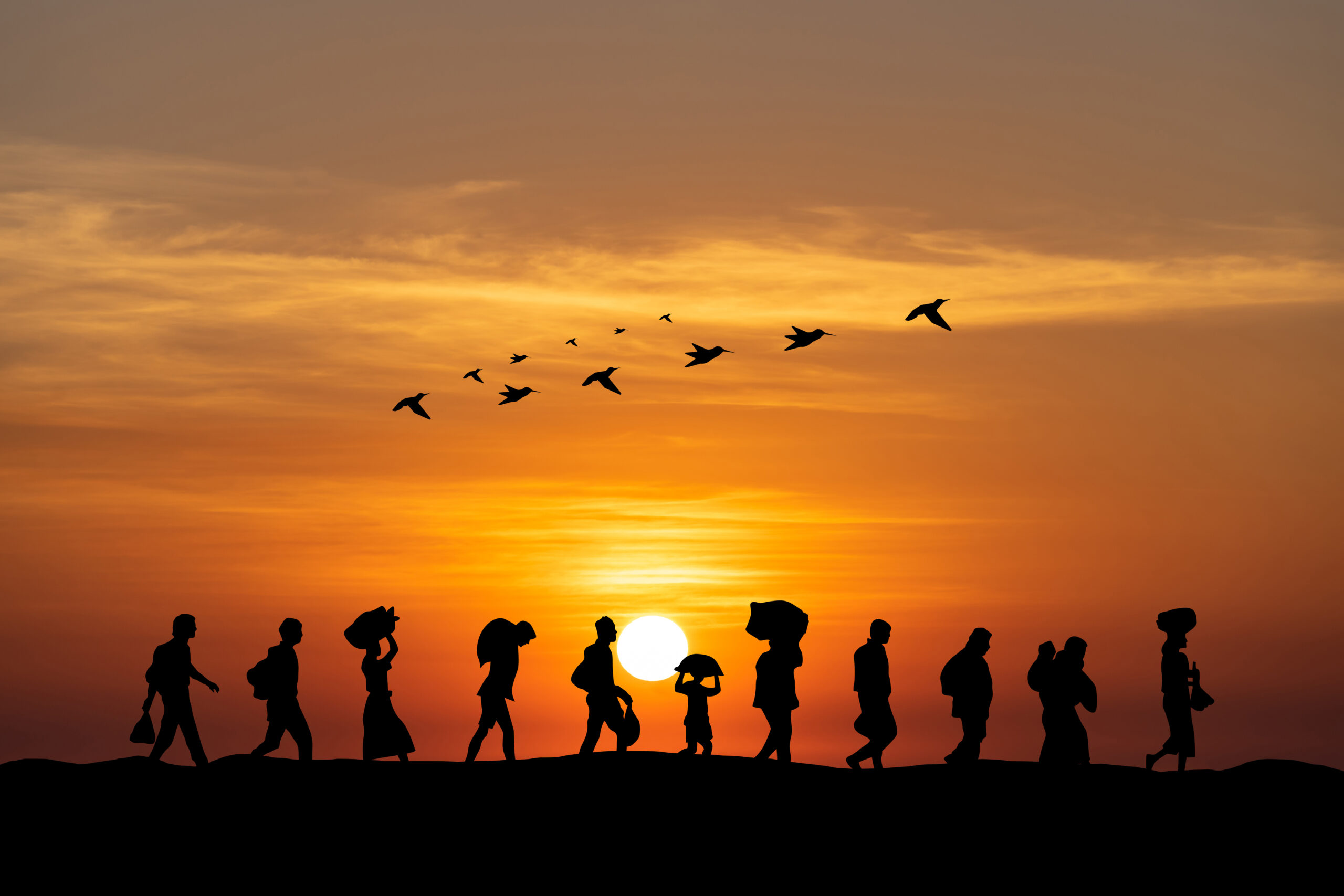 Silhouette image of people walking against a sunset, carrying belongings with bird flying over head
