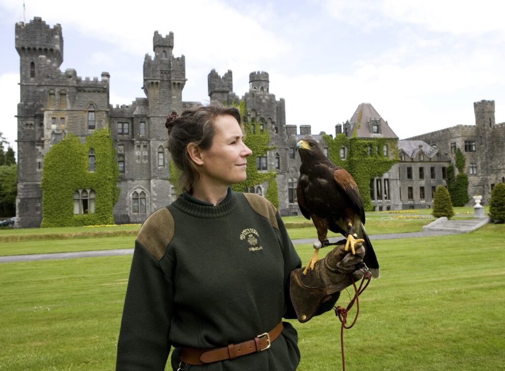 Debbie with one of her Harris's hawks in the grounds of Ashford Castle