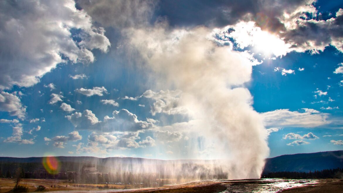 Old Faithful in Yellowstone National Park erupts, with white steam blowing up into the bright blue sky
