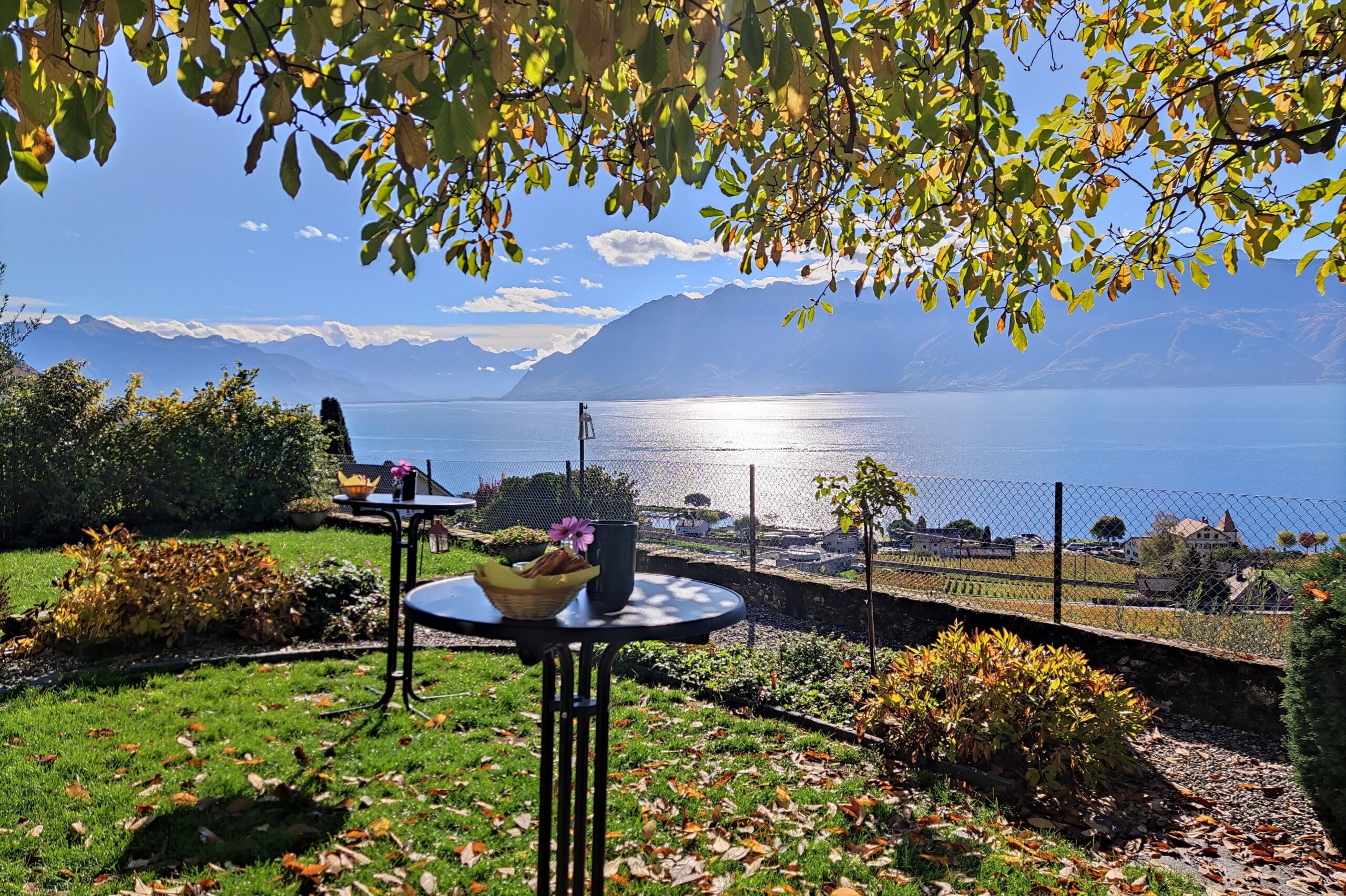 How this Swiss vineyard is helping the planet, a bottle at a time