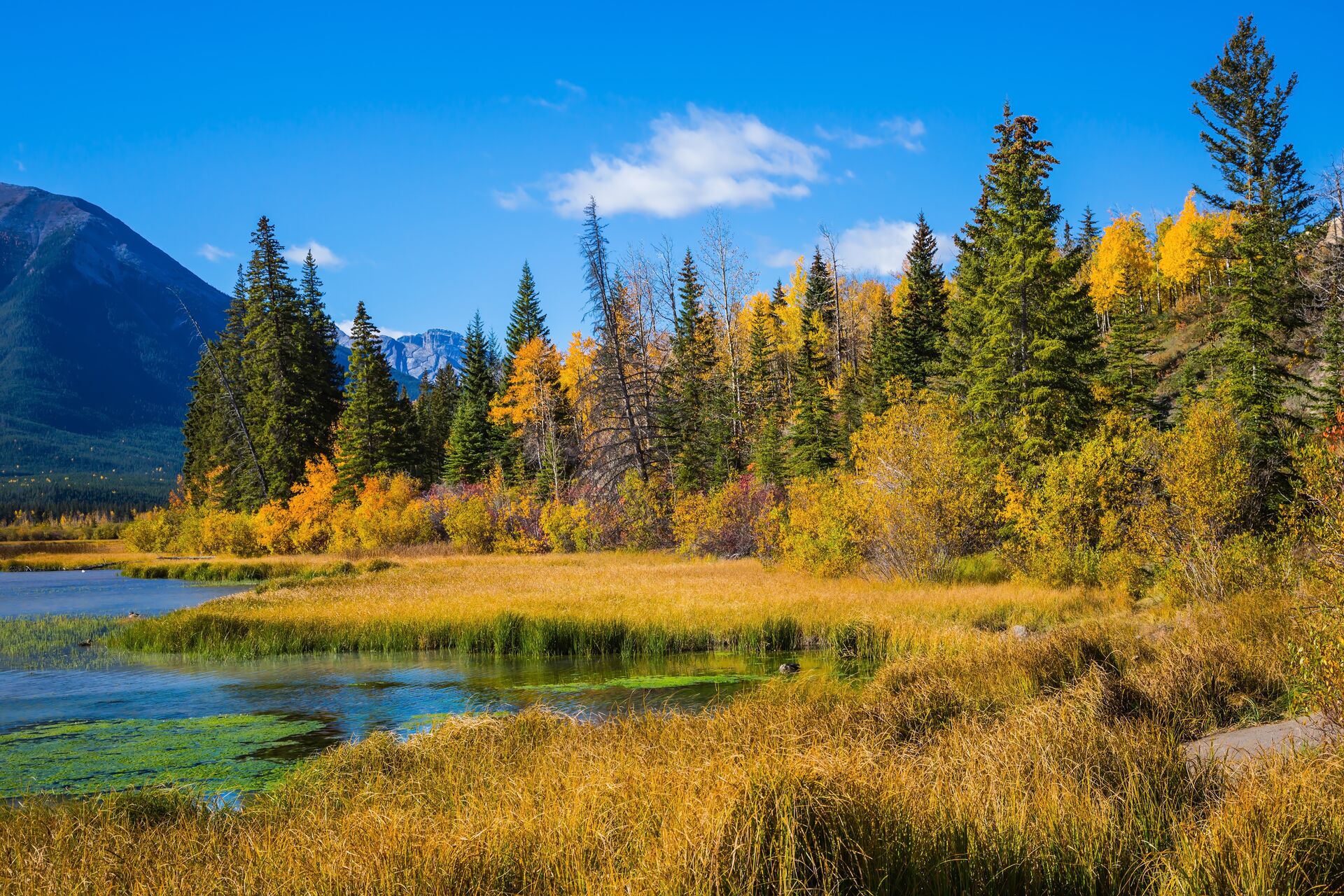 Mother Nature’s medicine: the healing power of Canada’s great outdoors