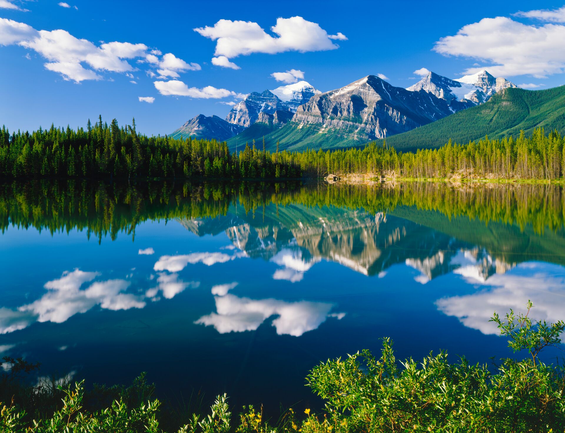 Banff park in Canada glistens with white clouds, bright blue sky, snow capped mountain in the background with the forest and lake in front, reflecting the clouds