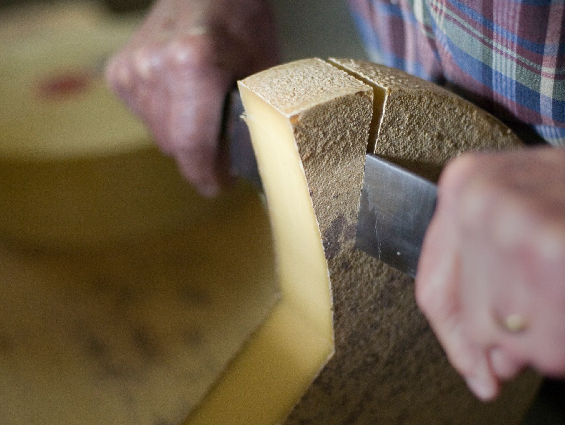 Close of of slicing Swiss cheese