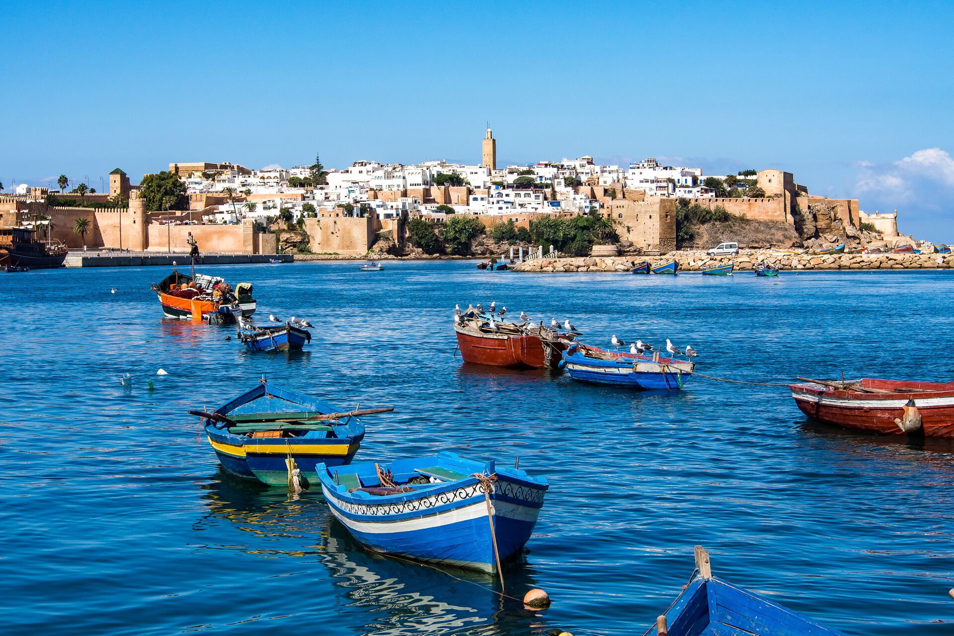 The town of rabat is shown with the sea in front dotted with colourful small boats