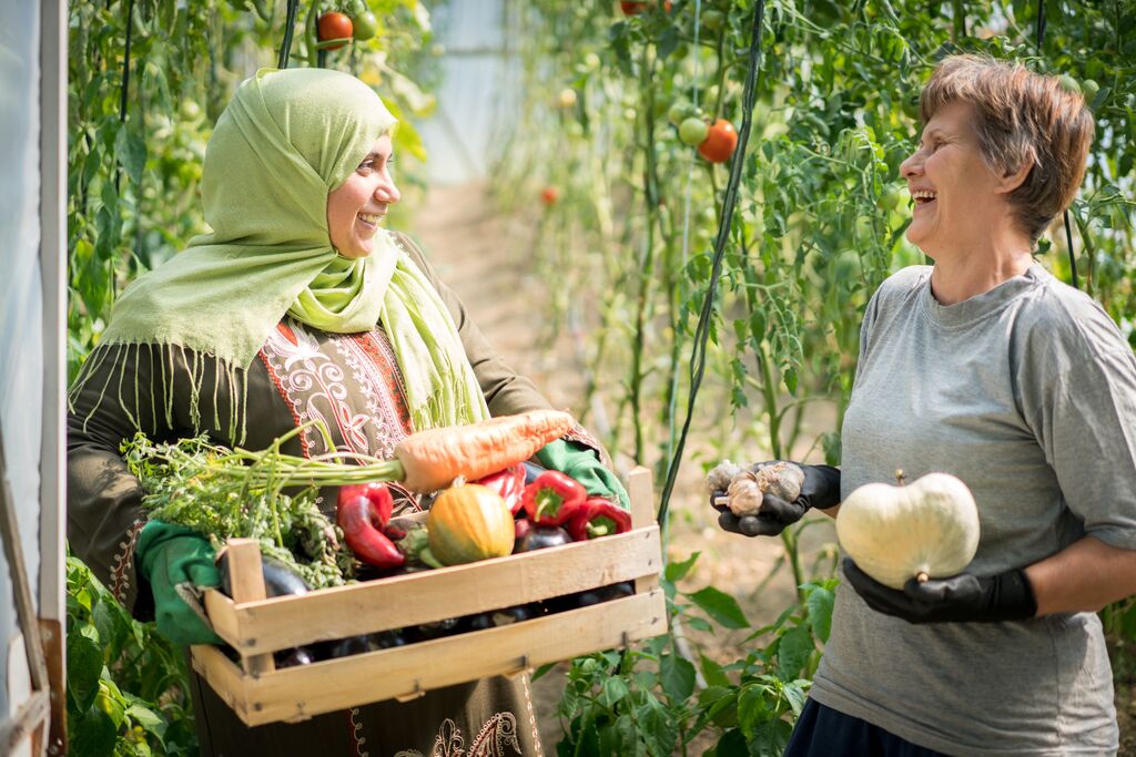 Two women working in garden harvesting vegetables
