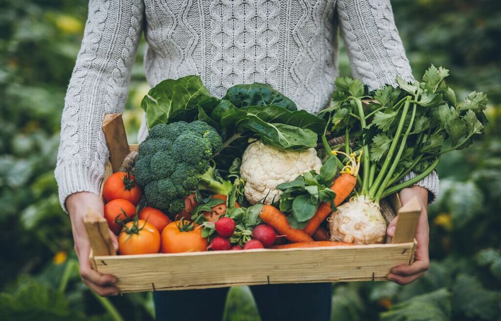 Man holding box of organic vegetables