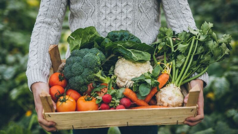Man holding box of organic vegetables