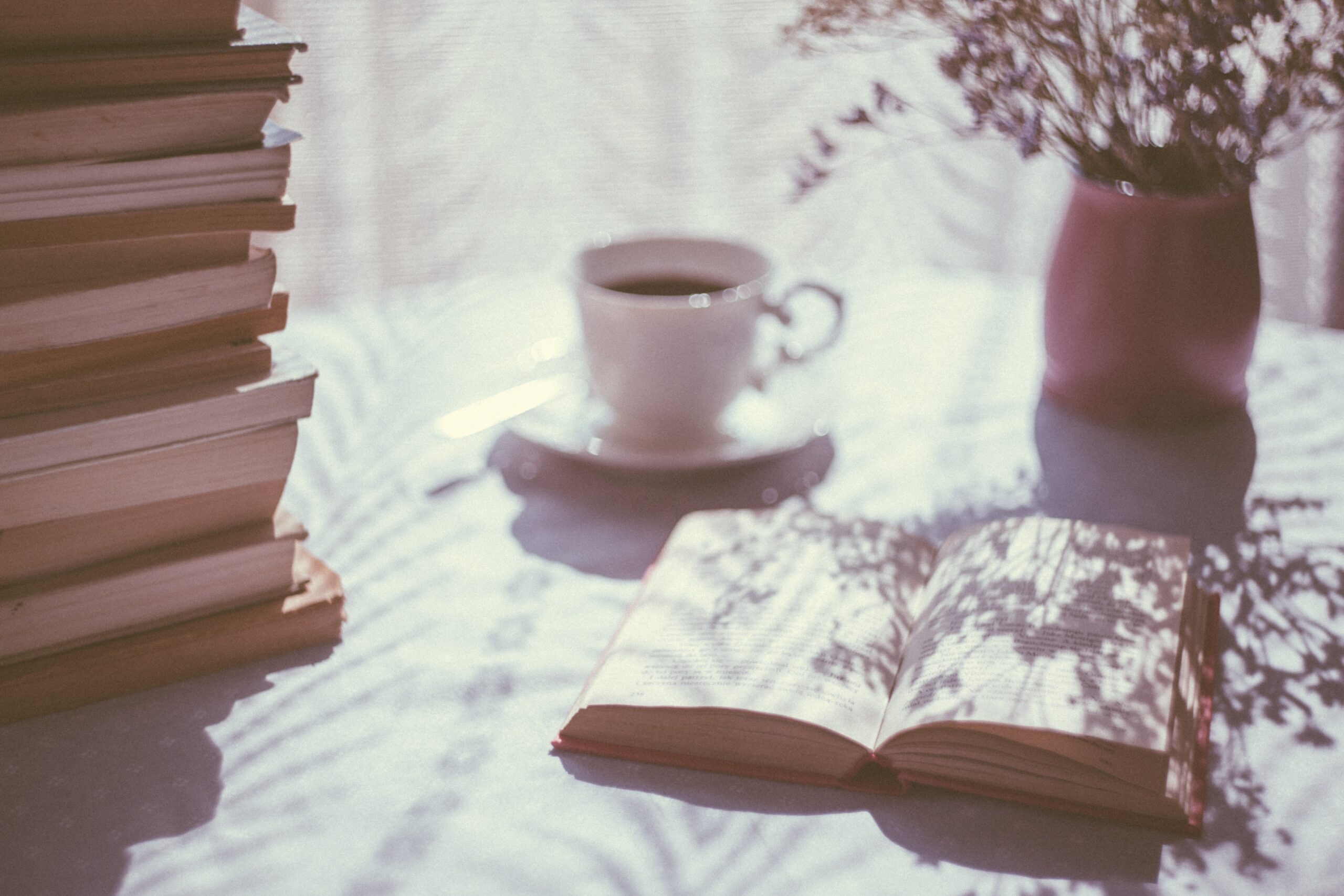 The Insight Book Club: everything we’ve been reading in August