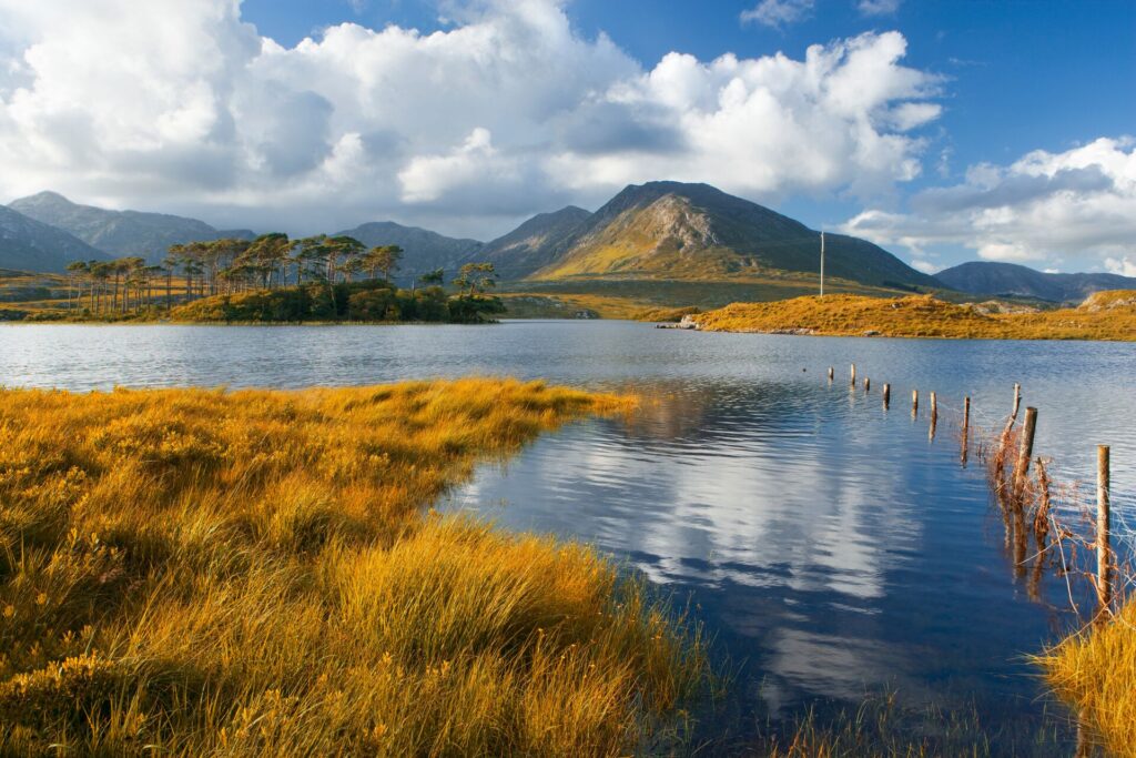 Orange tinted grassland frames a large blue lake with mountains in the background and white clouds in the sky.