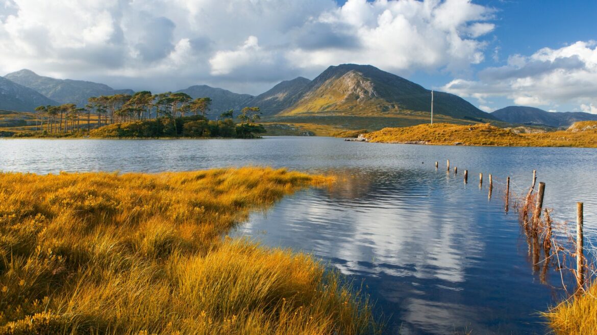 Orange tinted grassland frames a large blue lake with mountains in the background and white clouds in the sky.