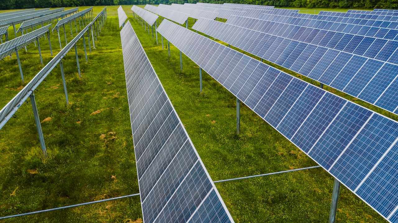 Solar panels in field