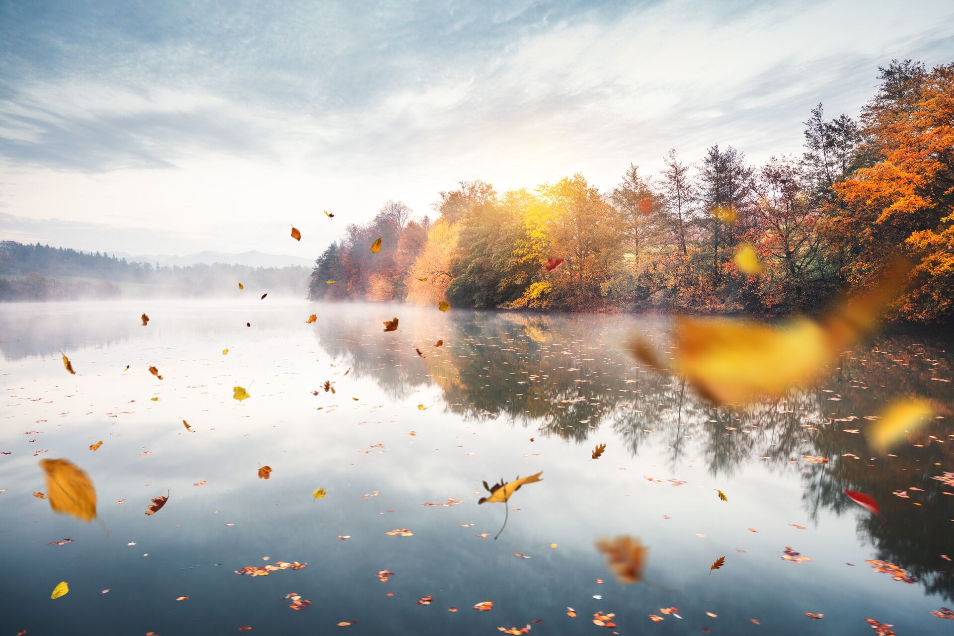 Golden leaves float down on a shimmering grey lake with a light grey sky