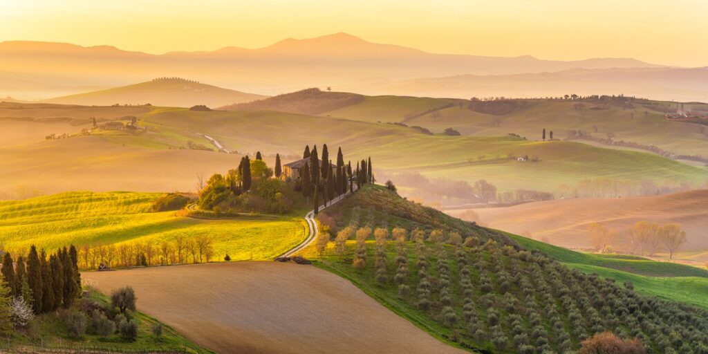 Landscape with rolling hills and trees at sunset, Tuscany