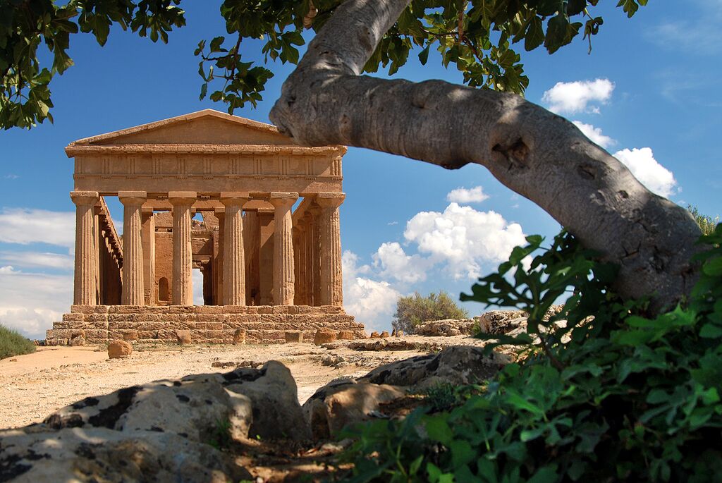 The temple in Sicily glowing in the sunlight, a deep sand colour, framed by a tree in the foreground