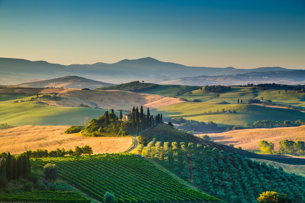 Rolling hills and vineyards drape across the Tuscan countryside as we look over the horizon from a vantage point.