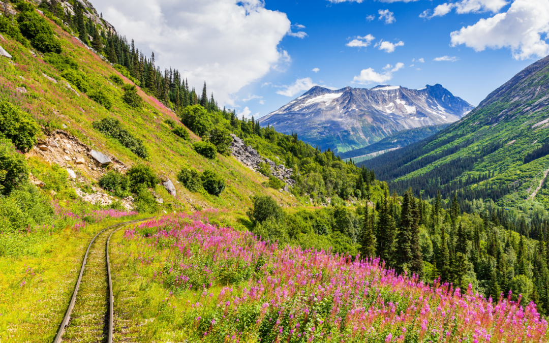 49 incredible facts about Alaska, the Last Frontier State