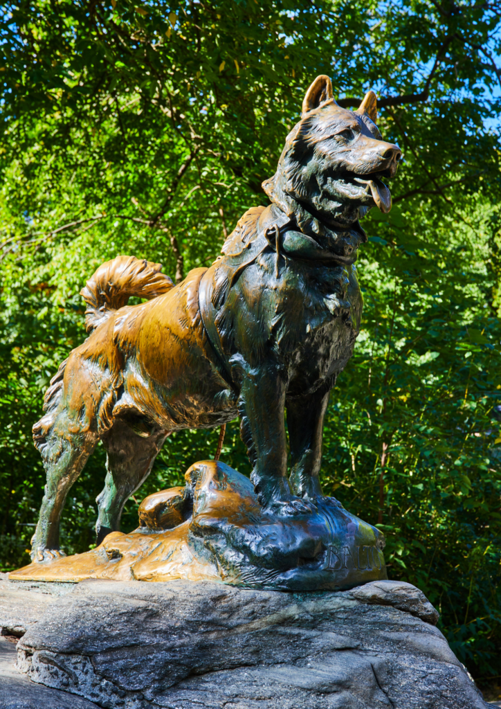 A statue of Balto, the lead dog in the Noma village crisis, in Central Park New York