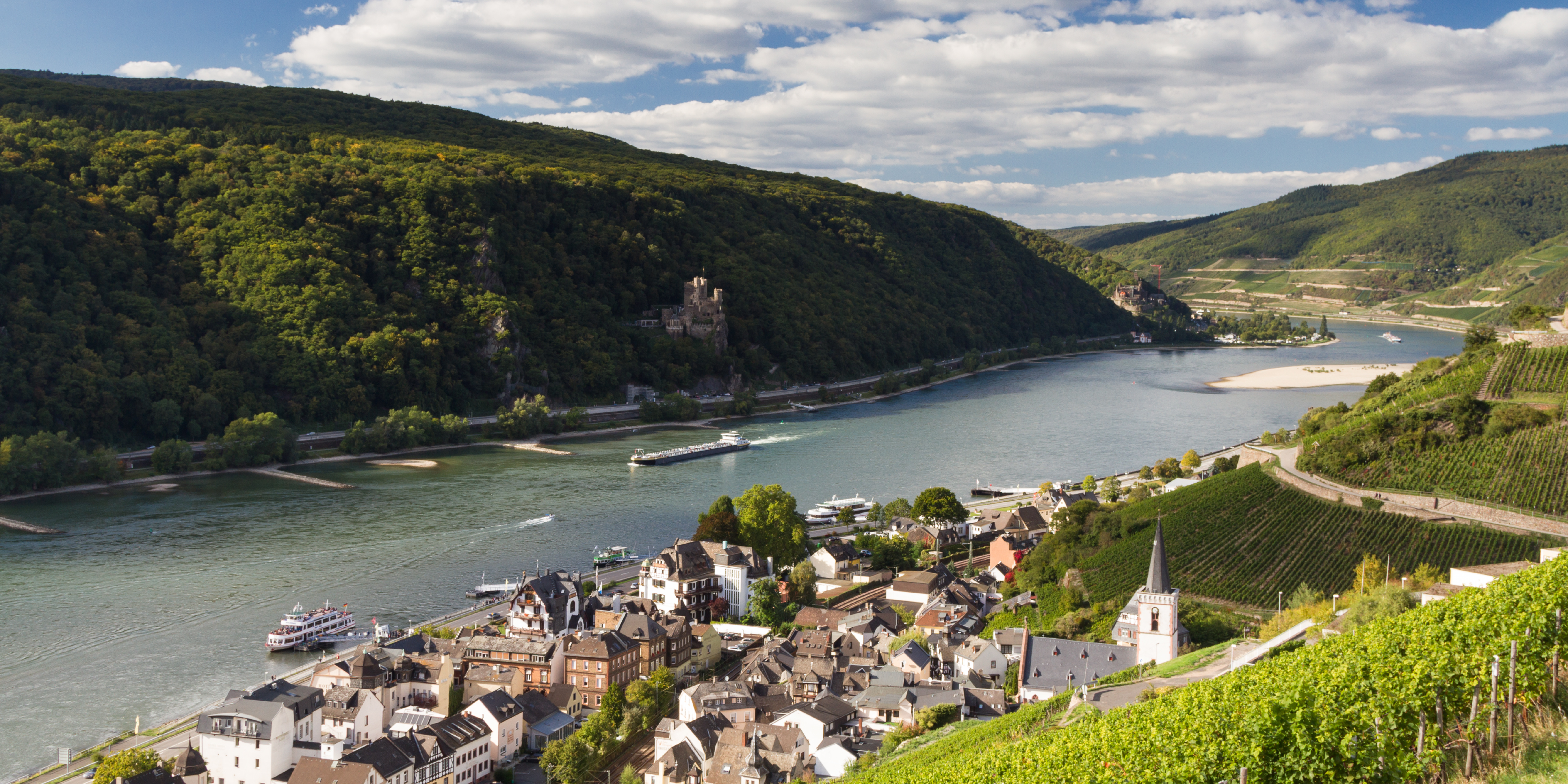 Rhine Valley birds-eye view