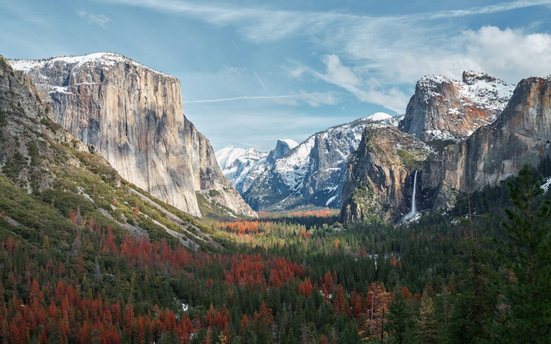 California’s National Parks: Scenery for Every Season