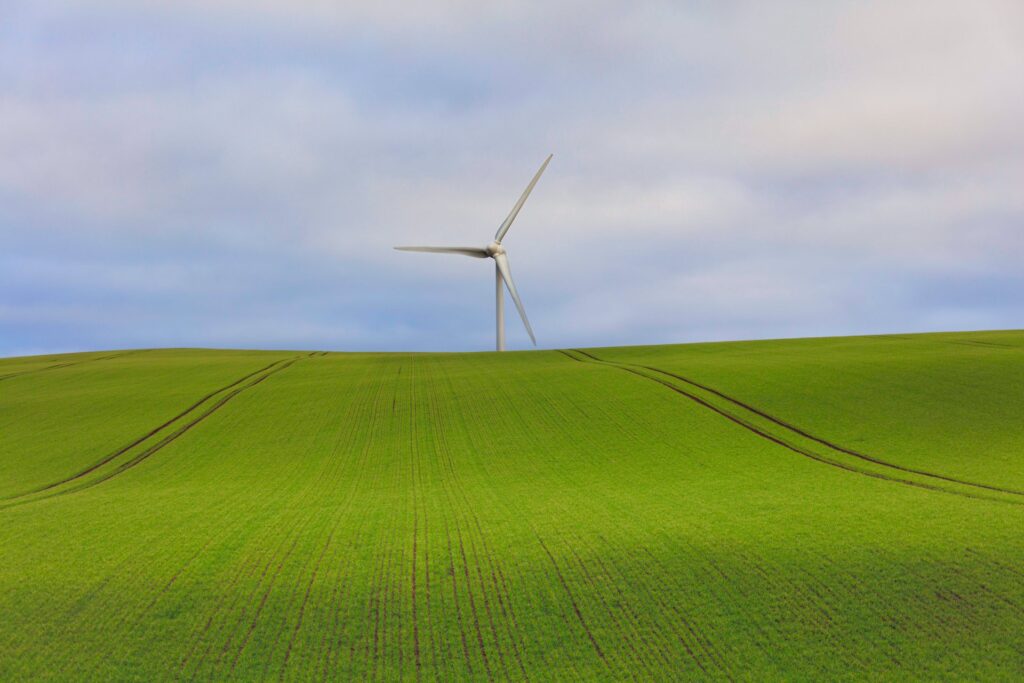 Photo of a lone wind turbine pictured beyond the horizon of a field of green crops, against a blue sky