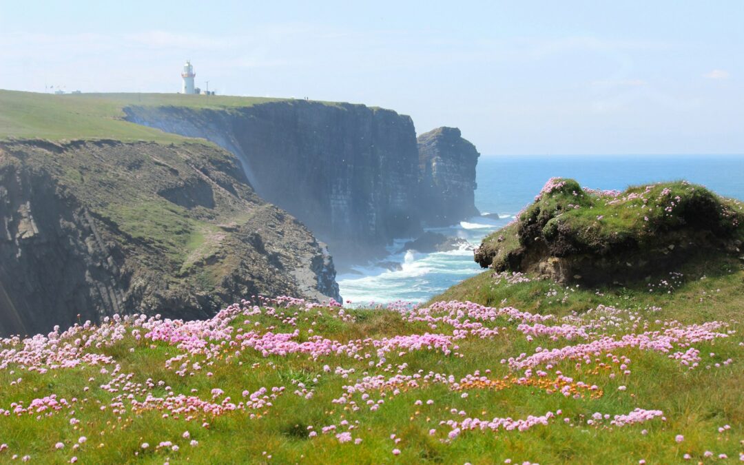 Ireland in May: Weather, Top Tips & Reasons to Visit