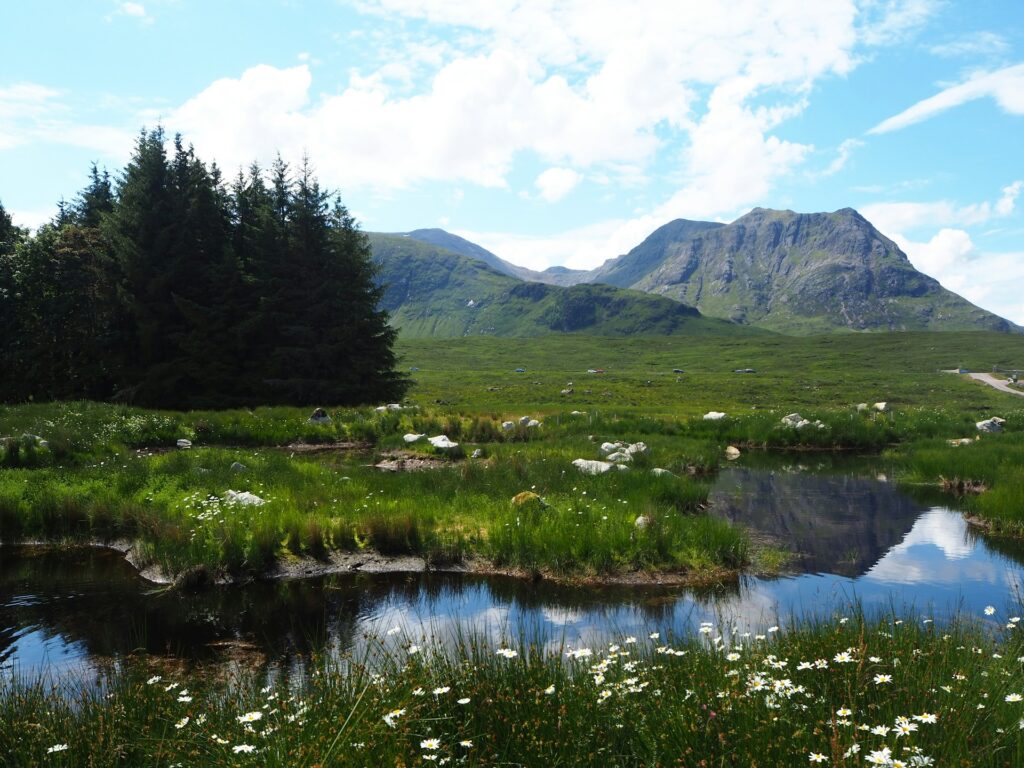 View of a mountain peak in Glencoe with a flower-speckled, grassy river bank in the foreground