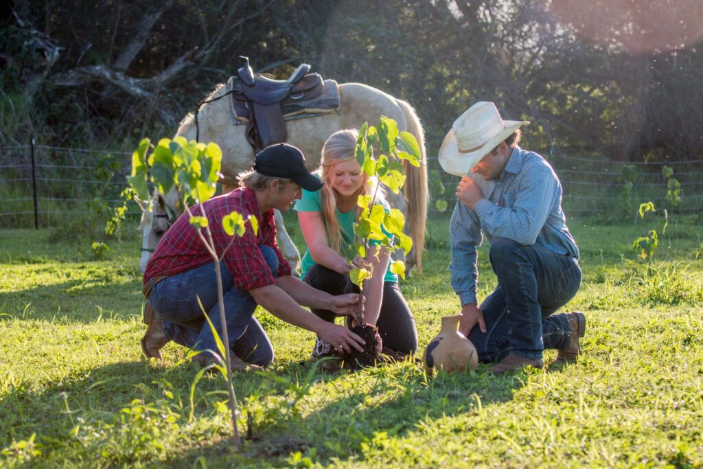 Three people crouching down planting a little shrub with a horse in the background.