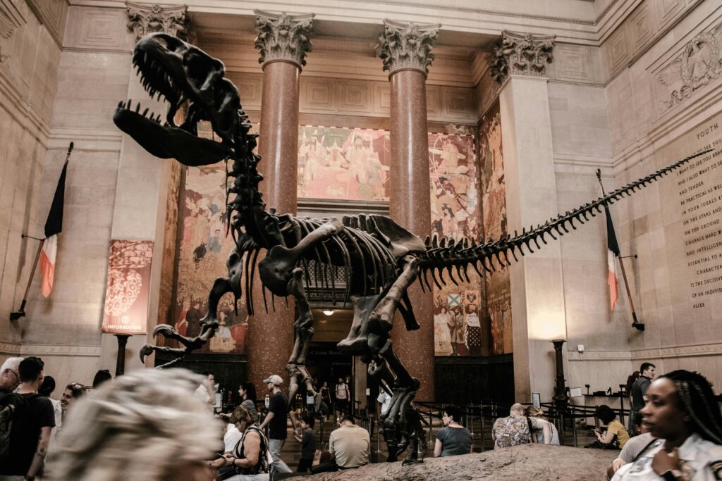 The American Museum of Natural History, New York 