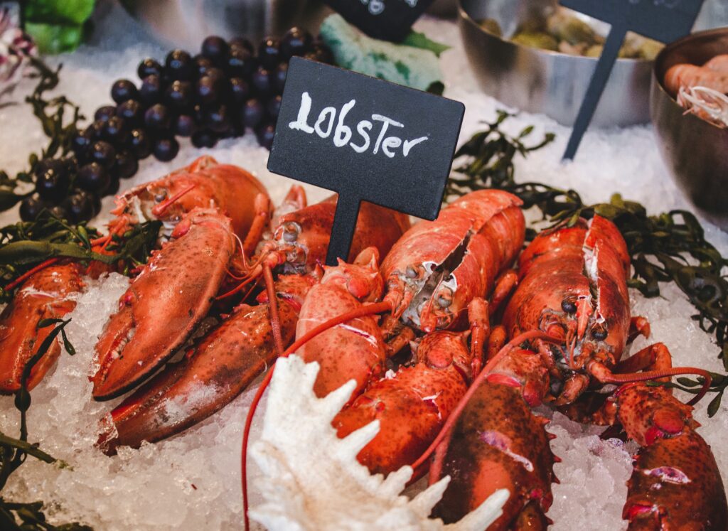 Lobsters on ice