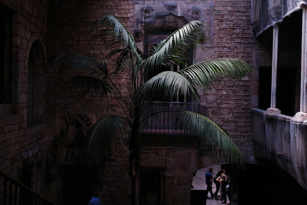 The Picasso Museum, Barcelona  