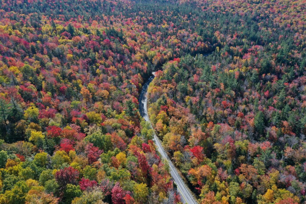 Fall Foliage across Kancamangus Highway