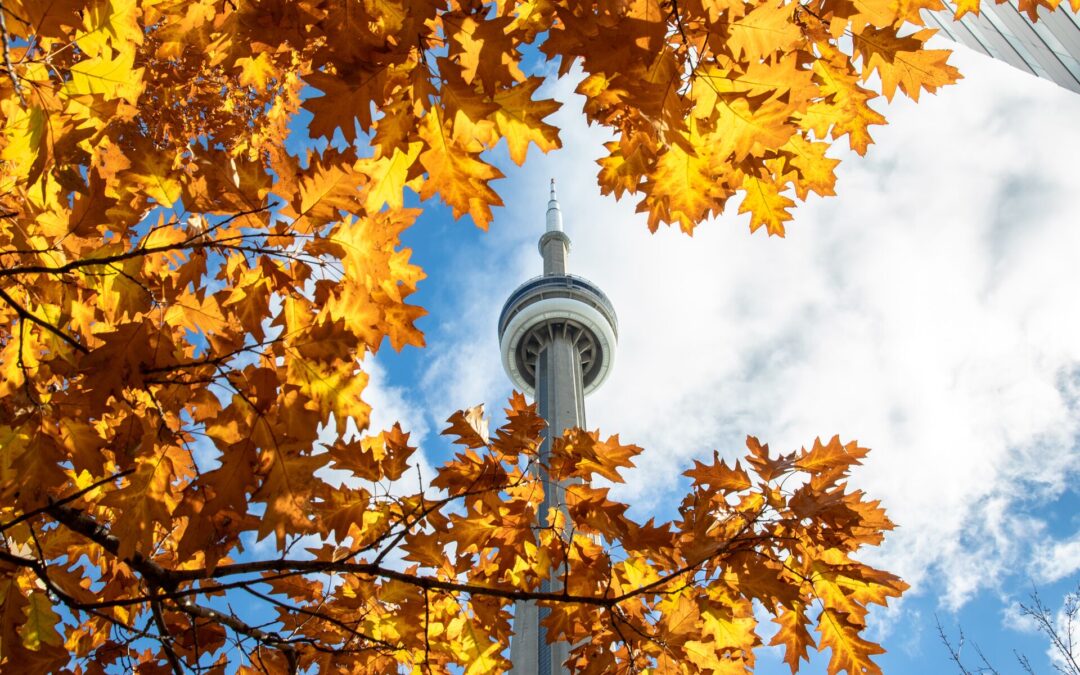 Where to Travel Every Month of 2025, According to Expert Tim Pendlebury