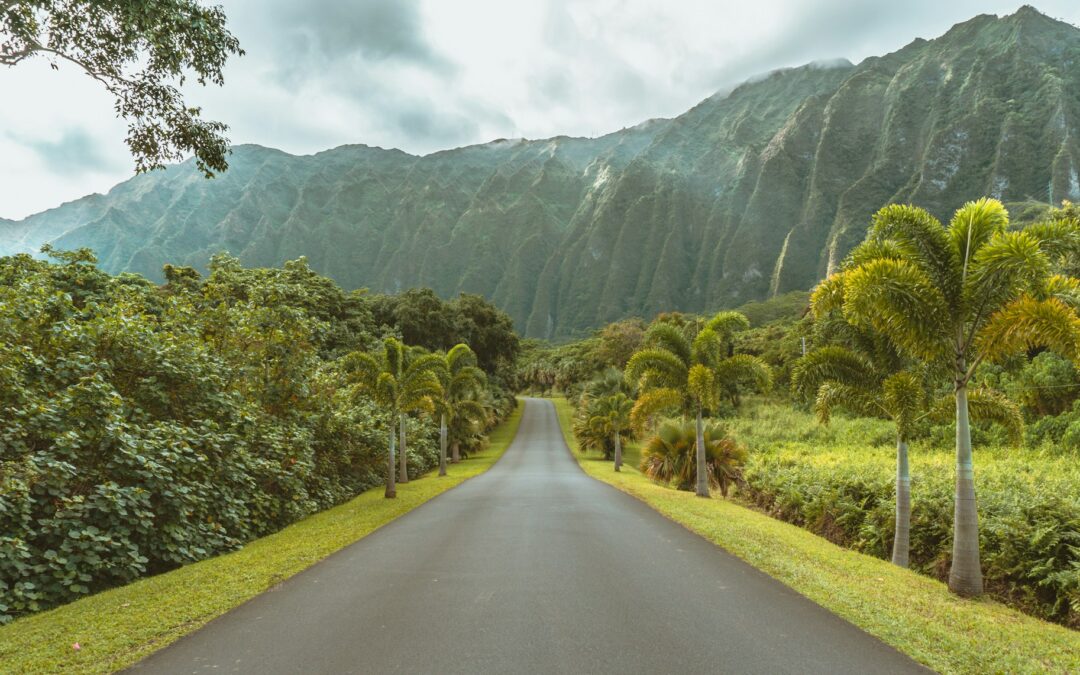Volcanoes and Sacred Forests: The Side of Hawaii You Don’t Want to Miss