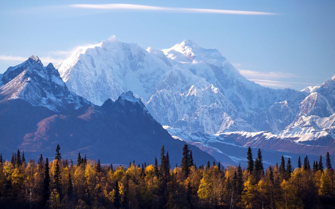 Best Time To Visit Alaska For Wildlife, Northern Lights And Adventure