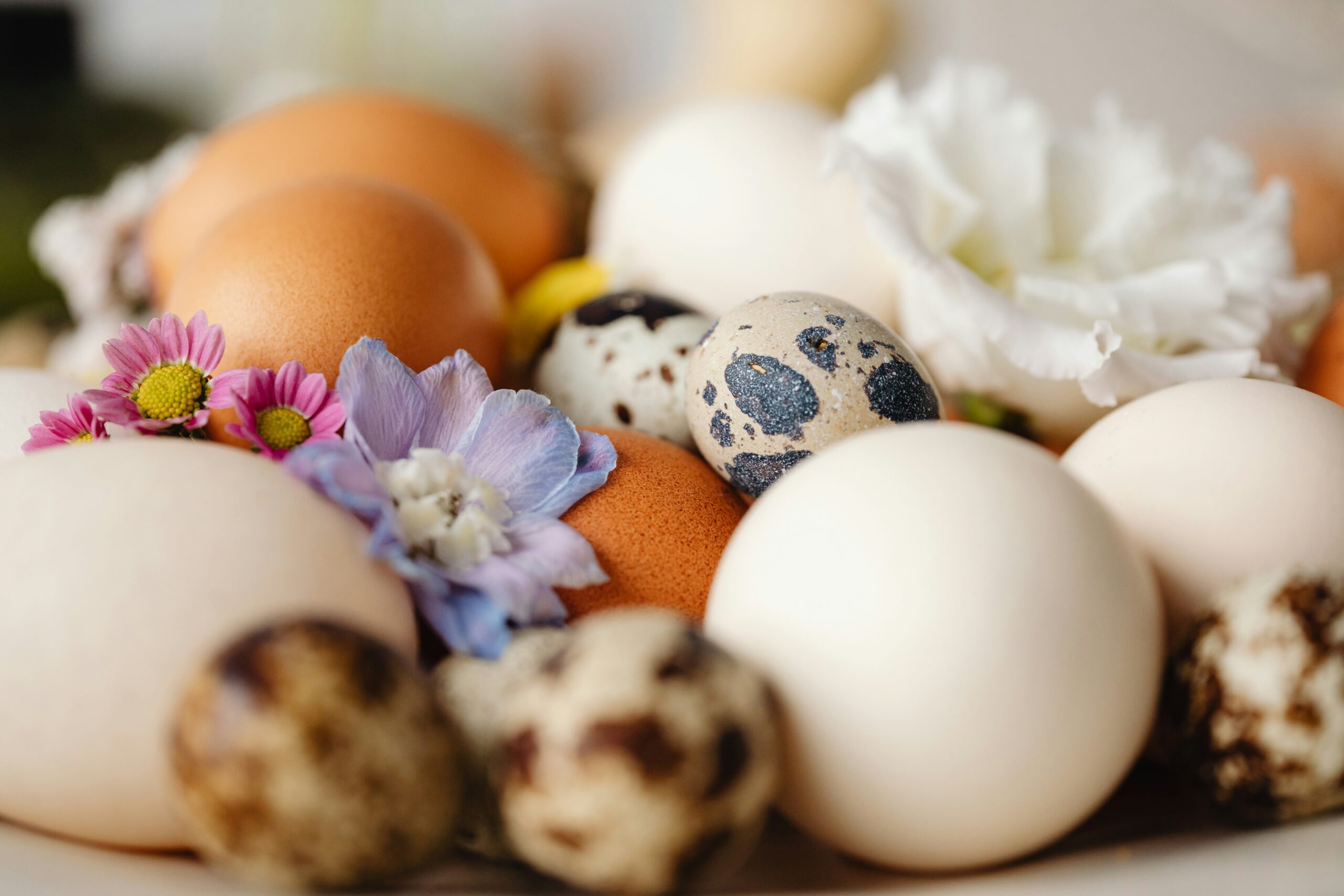 Close up of easter eggs