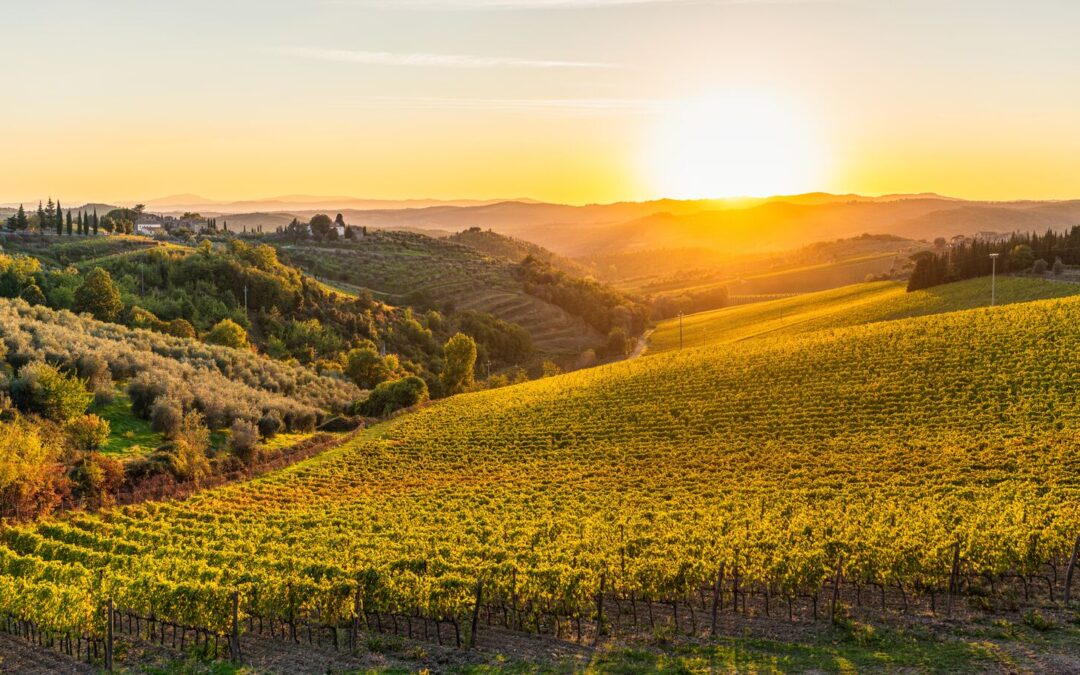Italy in September: Weather, Reasons to Visit & Things to Do