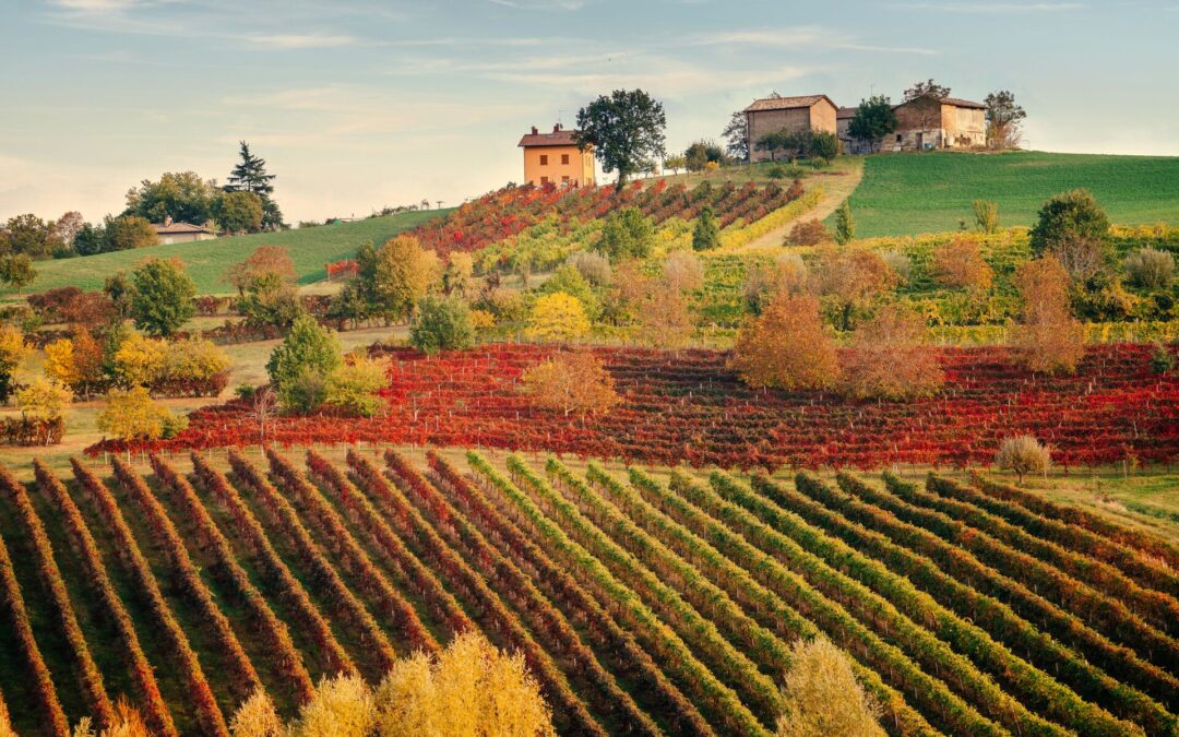 Discover Your Perfect September Travel Destination in 5 Minutes