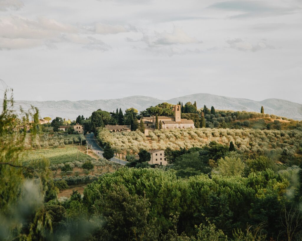 San Gimignano and vineyards