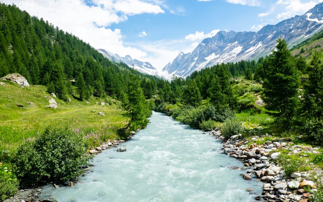 35 Fun Facts About Switzerland