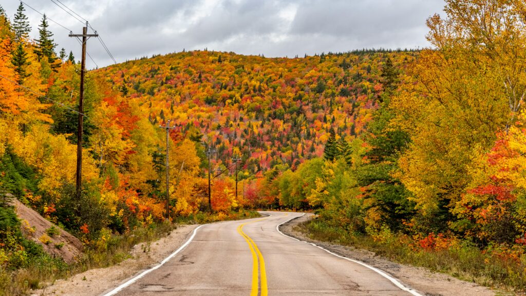 fall colors in canada