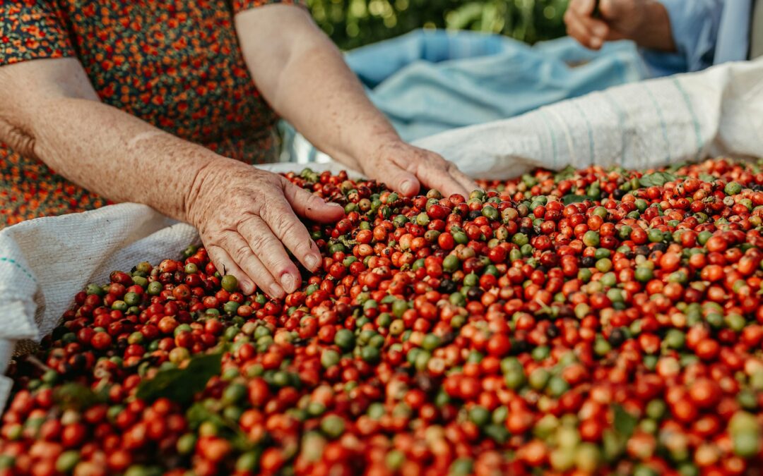 18 Fun Facts About Coffee You Probably Didn’t Know