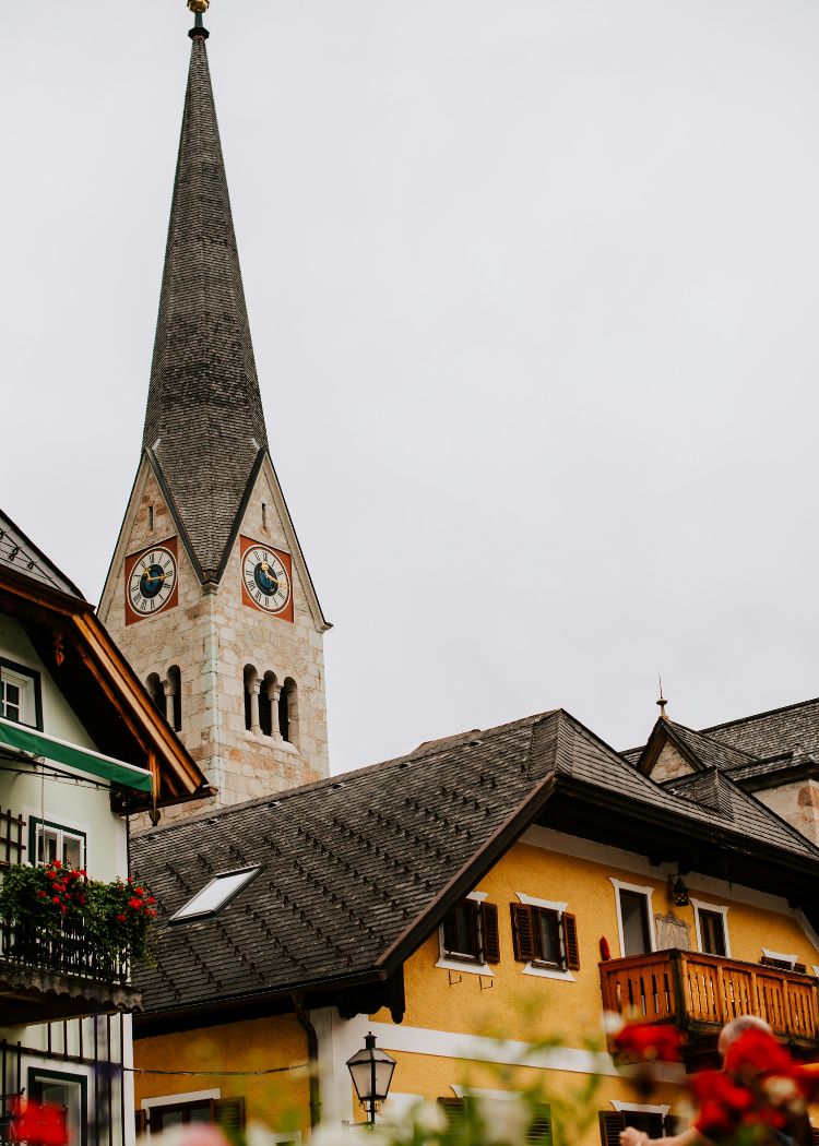 Layout-3-Image-2 a close up shot of a brown bear’s face, with shaggy brown fur