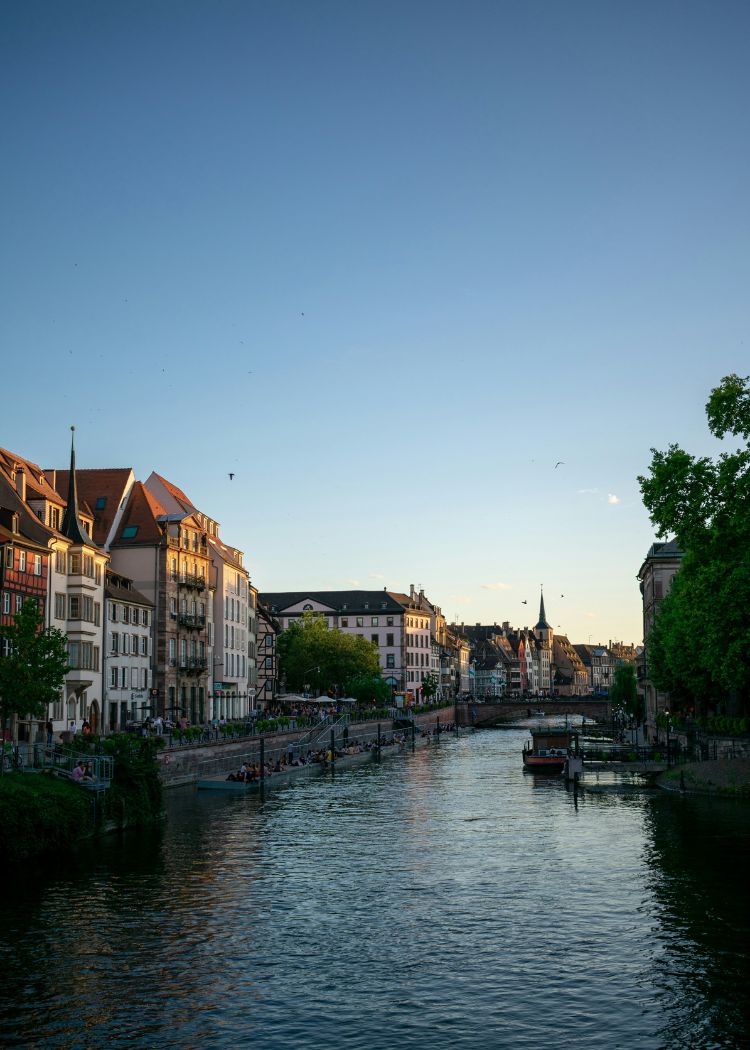 Layout-8-Image-1 a close up shot of a brown bear’s face, with shaggy brown fur