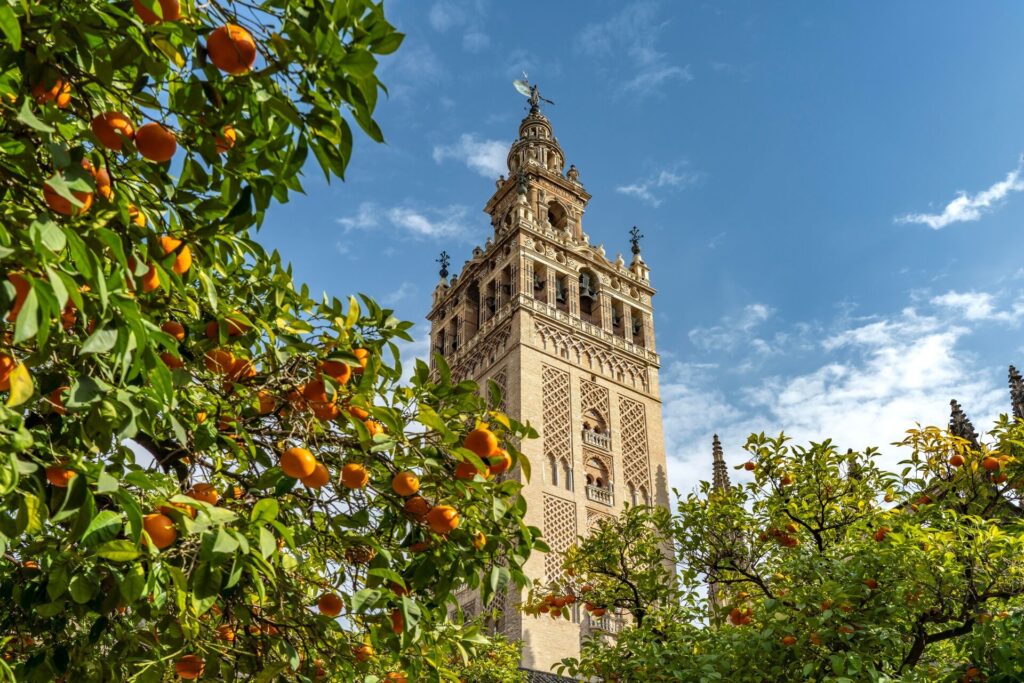 seville cathedral