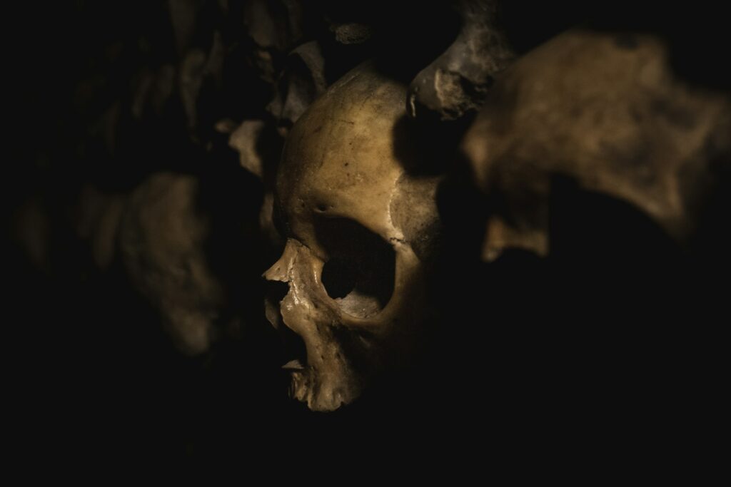 Skull in the Paris Catacombs